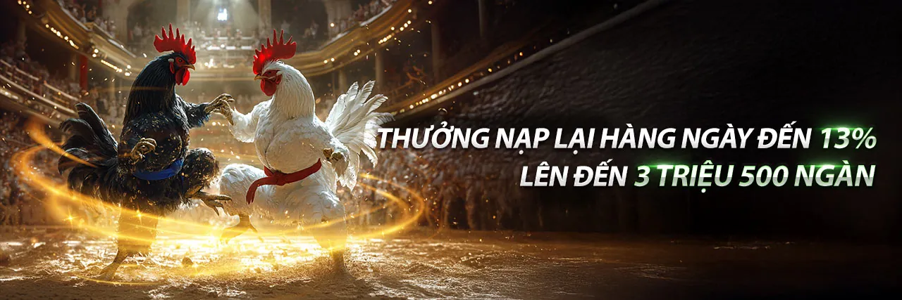 Trường Gà Rang Bơ 888 – Cảnh đá gà trực tuyến kịch tính